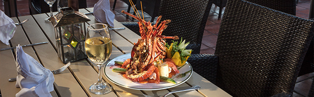 la terraza restaurant gourmet